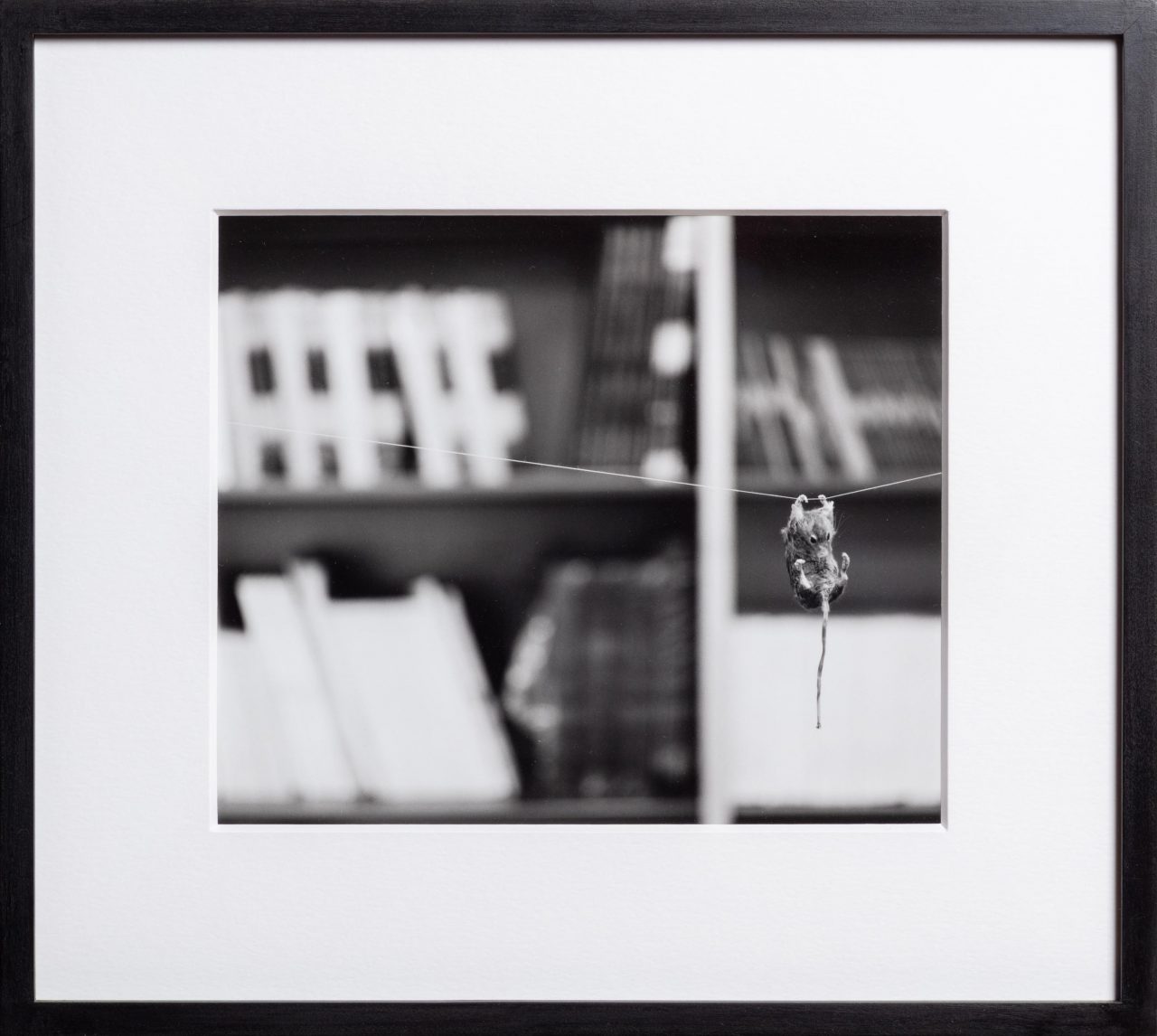 Louise Lawler: This Way I Can't Fight (2002)